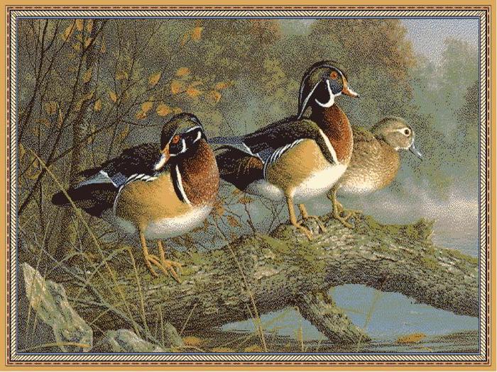 Ковер Hunnu  сувенирный 6S1307 122 утки