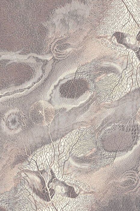 Ковер Isfahan Bellona heather