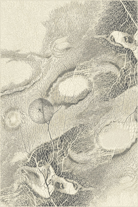 Ковер Isfahan Bellona pearl