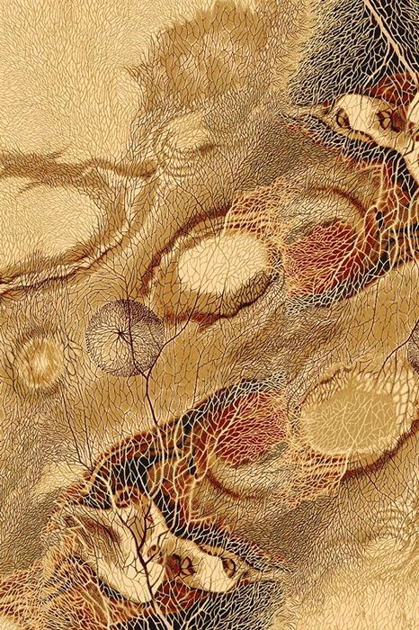 Ковер Isfahan Bellona amber