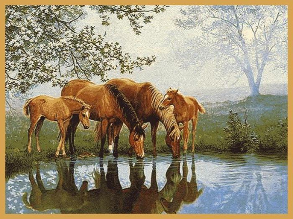 Ковер Hunnu  сувенирный 6S1027 82 водопой