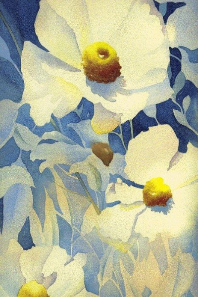 Ковер Hunnu 6A1530 001