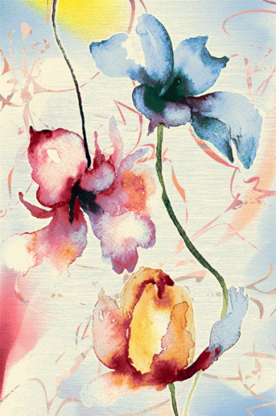 Ковер Hunnu 6A1620 001