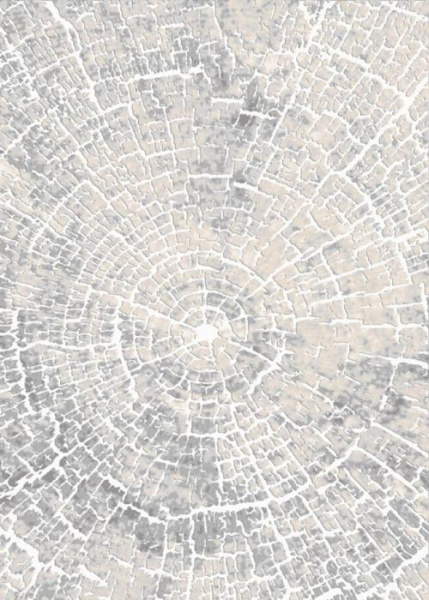 Ковер Визион 22114 25364