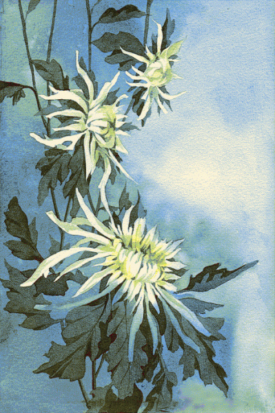 Ковер Hunnu 6A1542 176