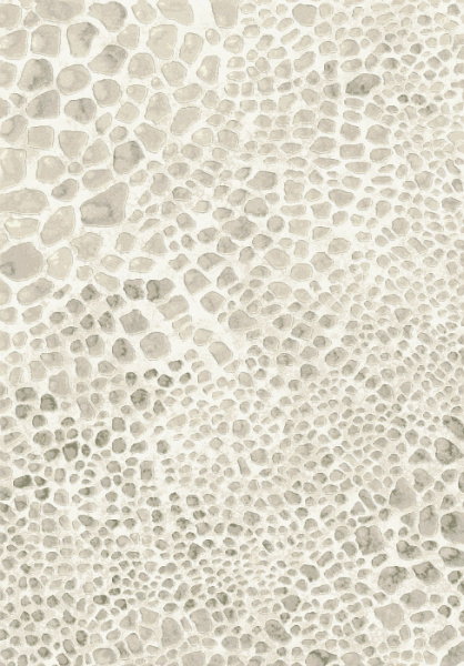 Ковер Nubian 64227 6575