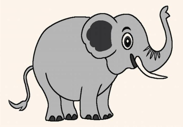 Ковер Mario 0314 HA6 W