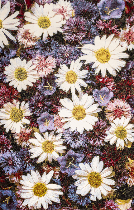 Ковер Hunnu 6A2366 176