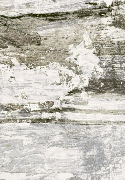 Ковер Argentum 63847 9243