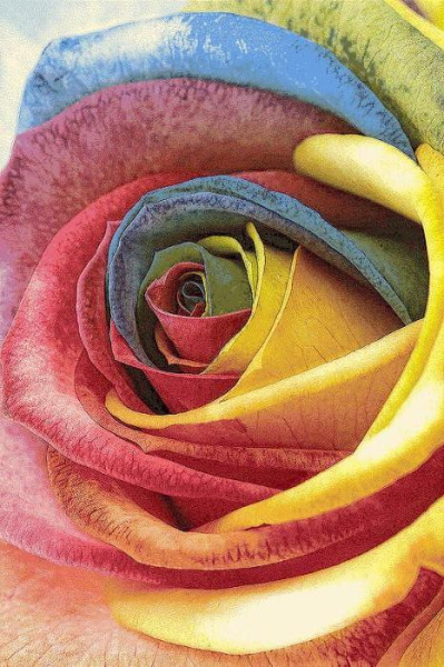 Ковер Hunnu 6A1857 175