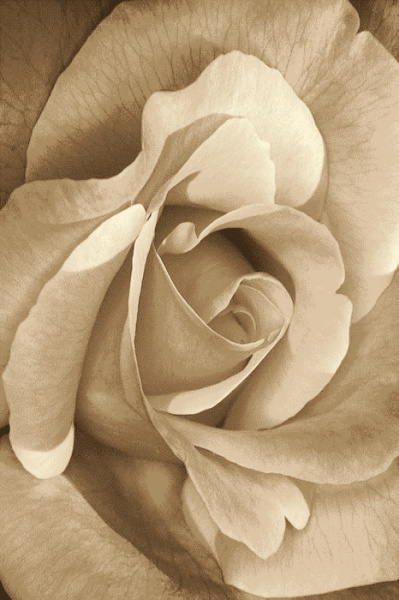 Ковер Hunnu Relief 6A973 127S