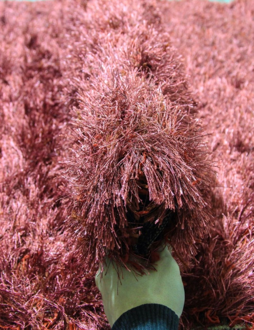 Ковер RHAPSODY 25-01 308