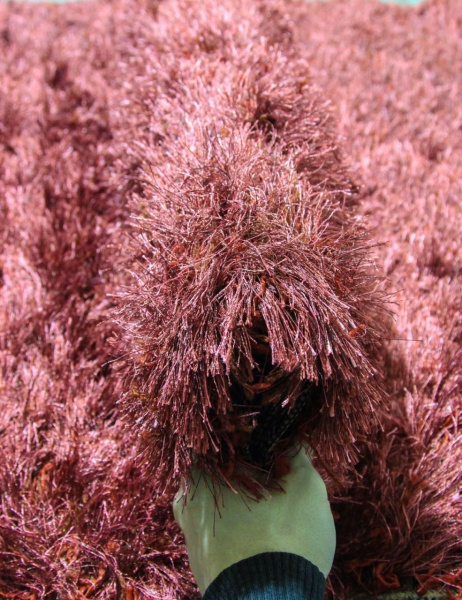 Ковер RHAPSODY 25-01 308