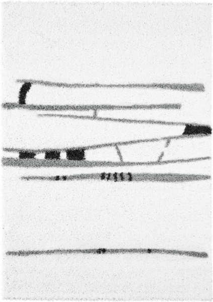 Ковер Jazzy Kimi white