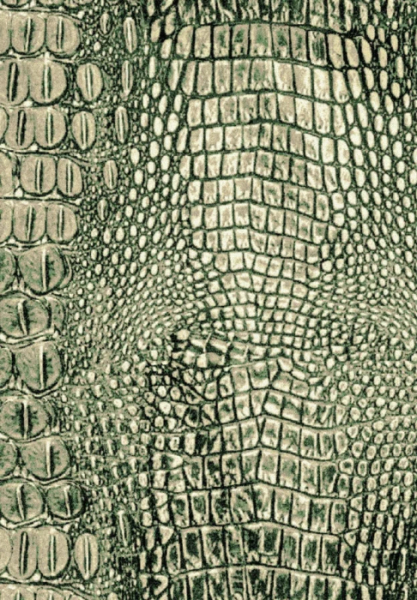 Ковер Chroma 47026 400