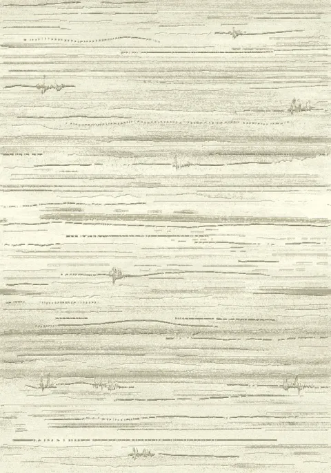 Ковер Argentum 63871 6575