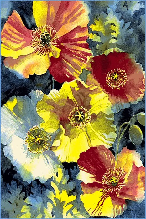 Ковер Hunnu 6A1556 175