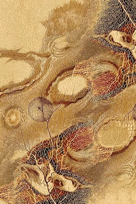 Ковер Isfahan Bellona amber