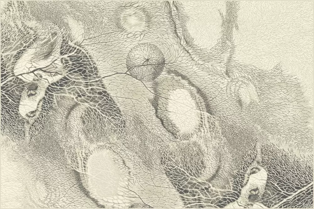 Ковер Isfahan Bellona pearl