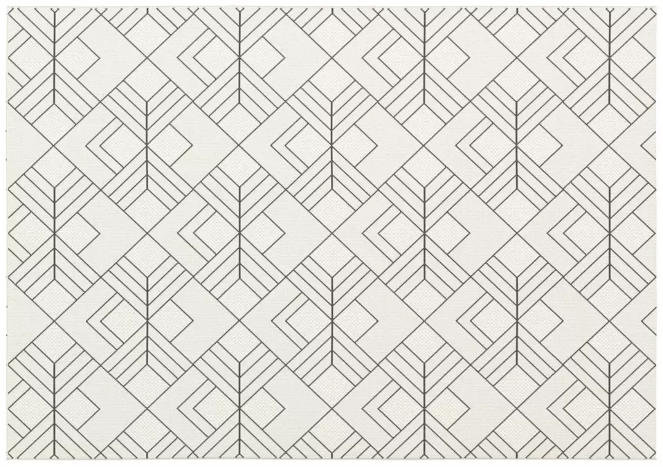 Ковер Essenza 48731 960