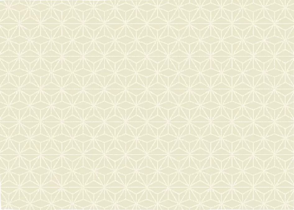 Ковер Reflex 40106 060