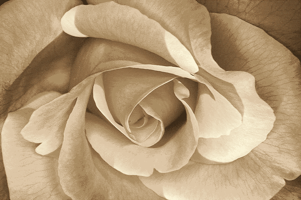 Ковер Hunnu Relief 6A973 127S