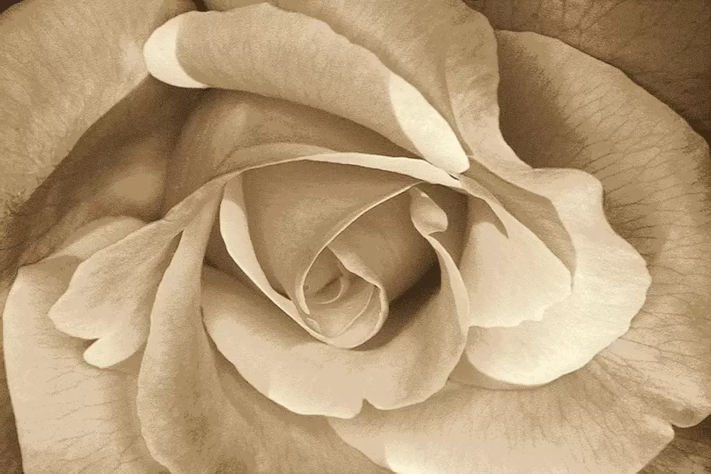 Ковер Hunnu Relief 6A973 127S