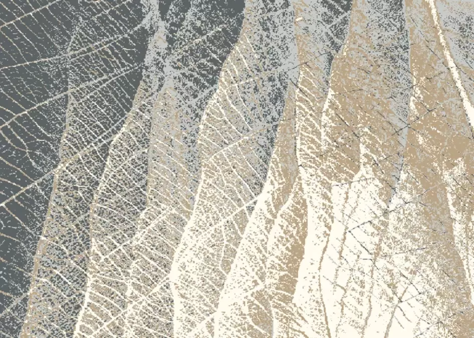 Ковер Avanti Urdur beige