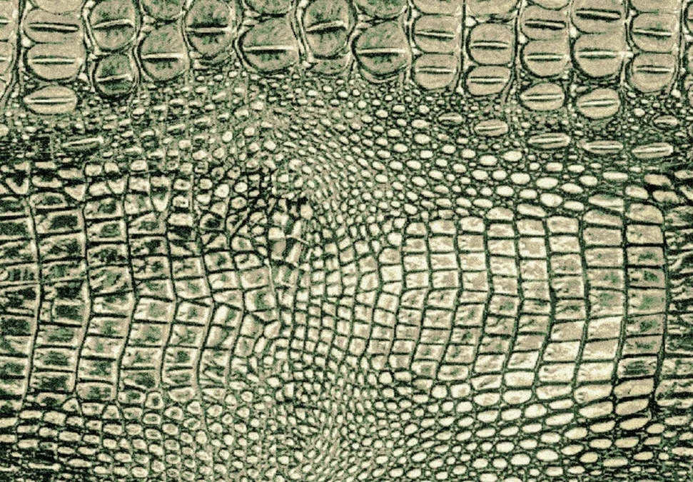 Ковер Chroma 47026 400