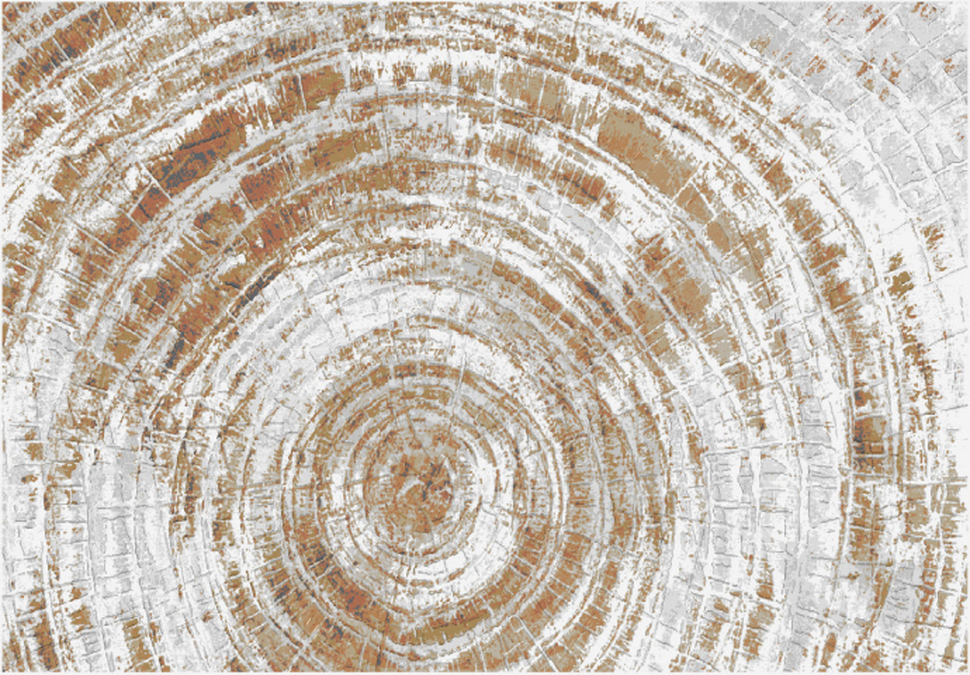 Ковер Mayumi 85002 6111