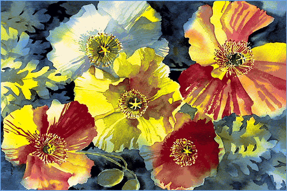 Ковер Hunnu 6A1556 175