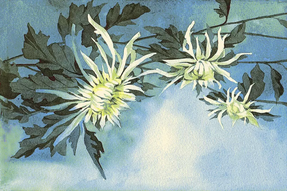 Ковер Hunnu 6A1542 176