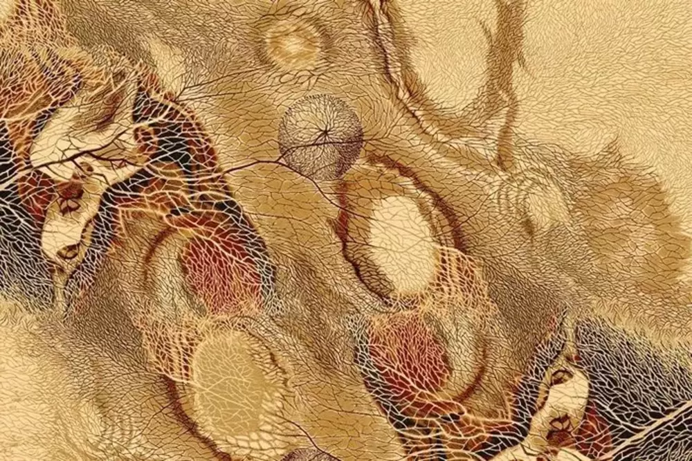 Ковер Isfahan Bellona amber