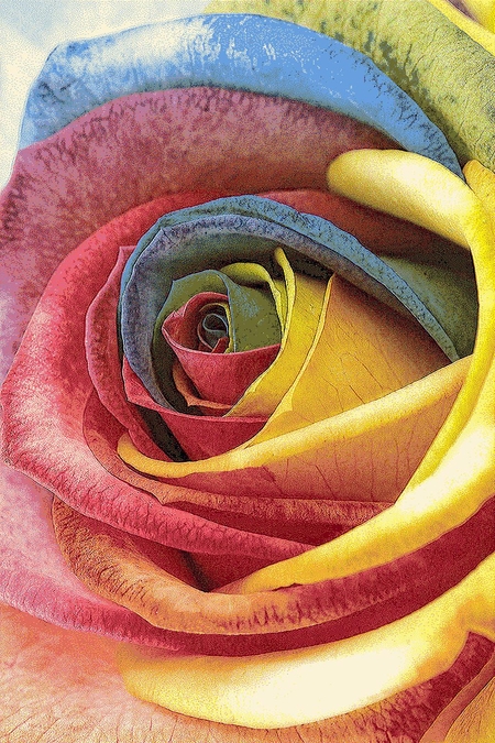 Ковер Hunnu 6A1857 175