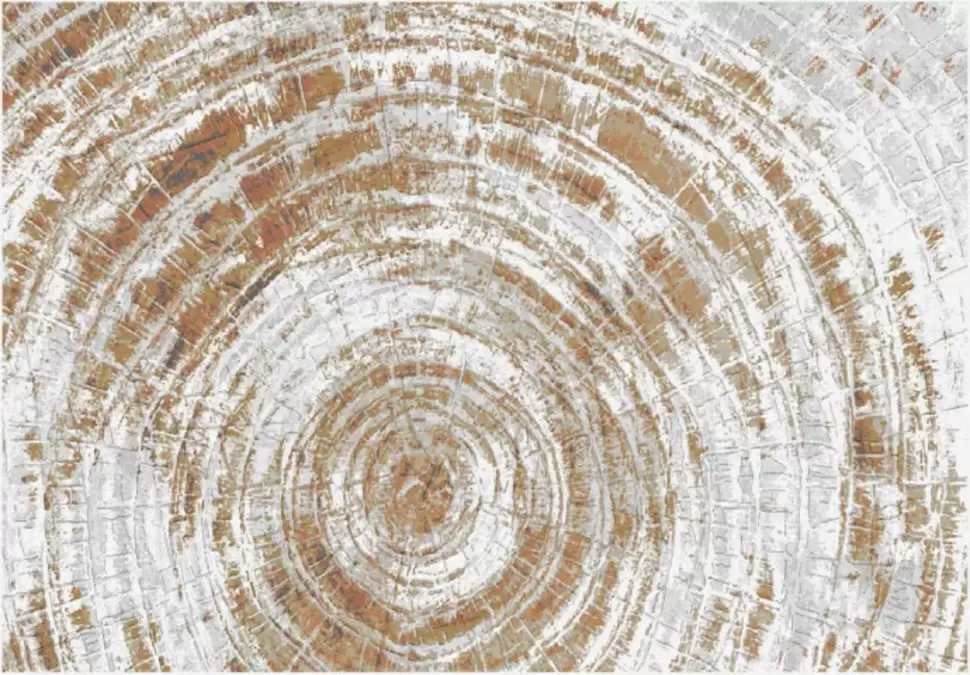 Ковер Mayumi 85002 6111