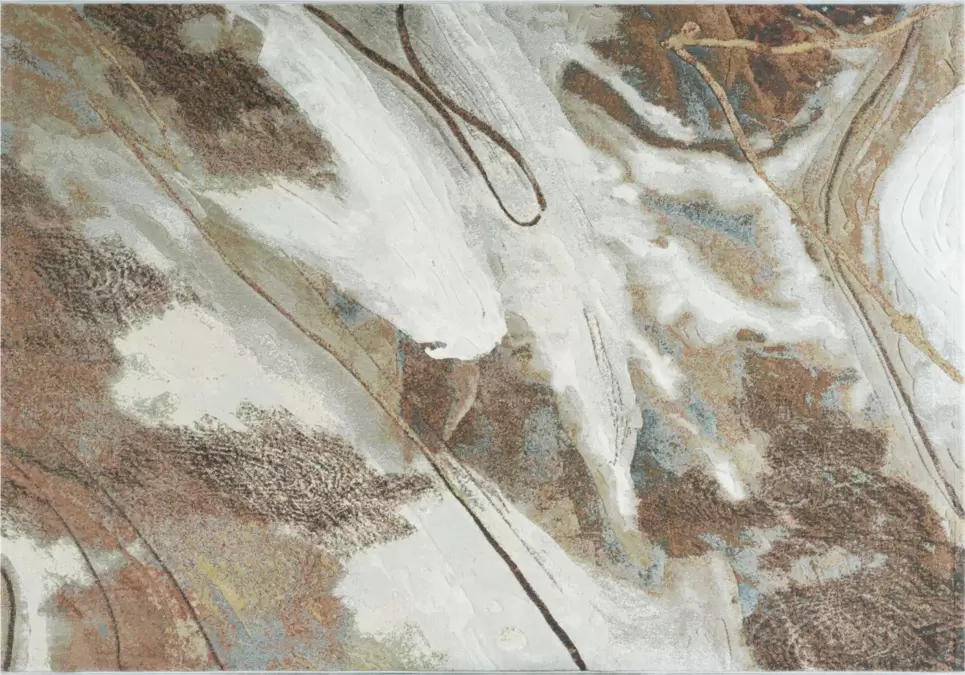 Ковер Argentum 63529 7270