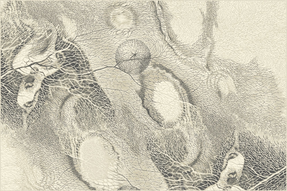 Ковер Isfahan Bellona pearl