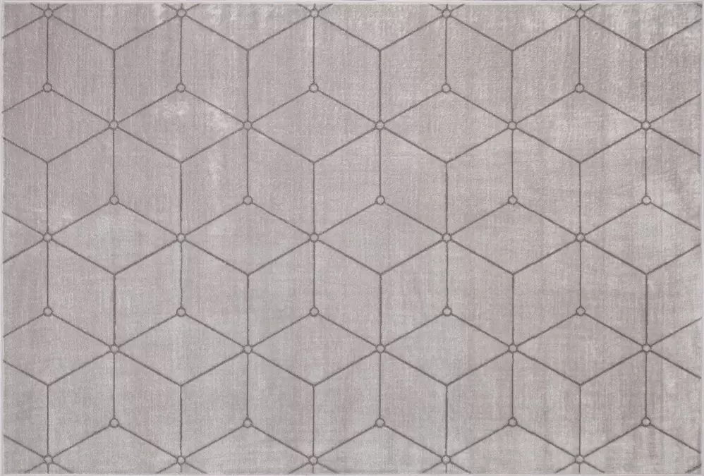 Ковер Euphoria 13100 SILVER