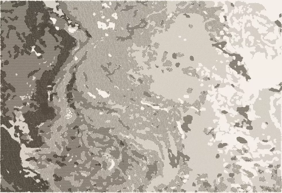 Ковер Веранда 54110 50522