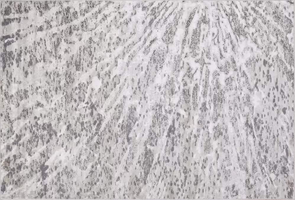 Ковер Euphoria 13102 SILVER-VISON