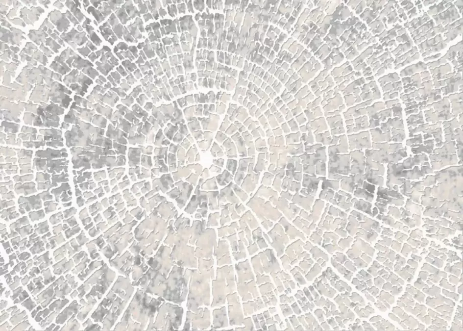 Ковер Визион 22114 25364