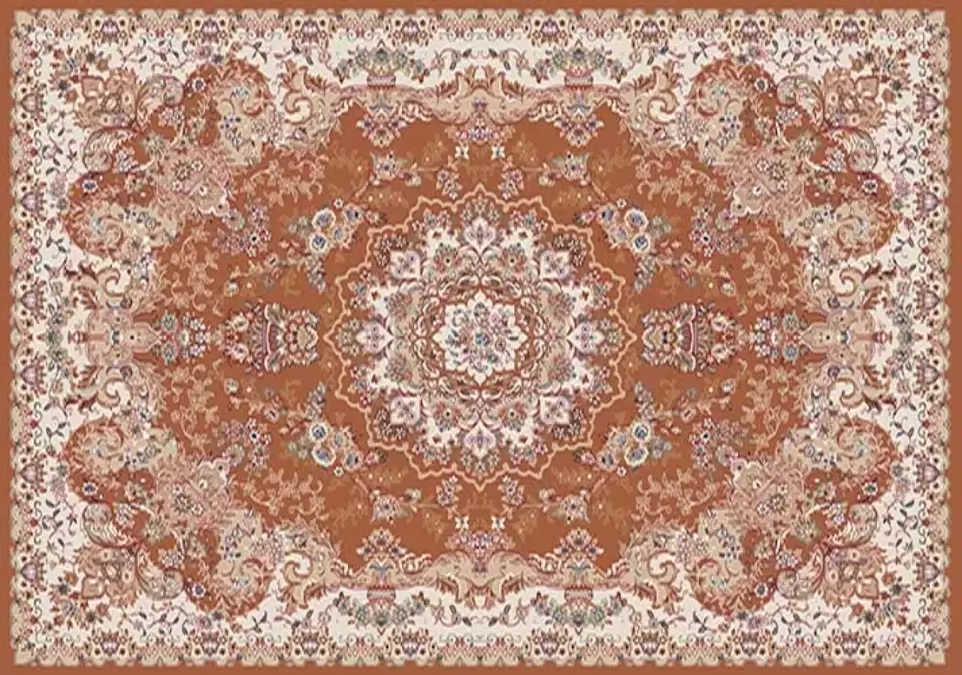 Ковер SHAHREZA d211 TERRA