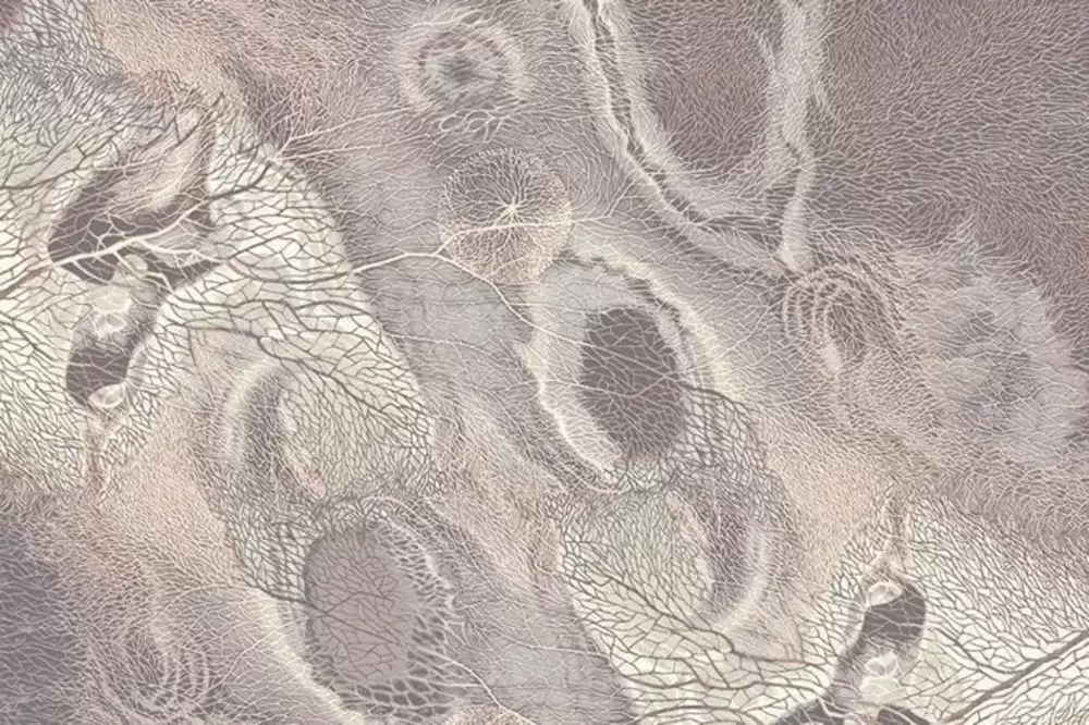 Ковер Isfahan Bellona heather