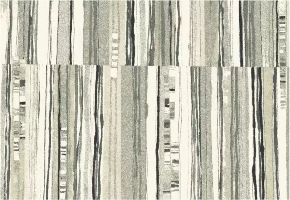 Ковер Infinity 32631 6298