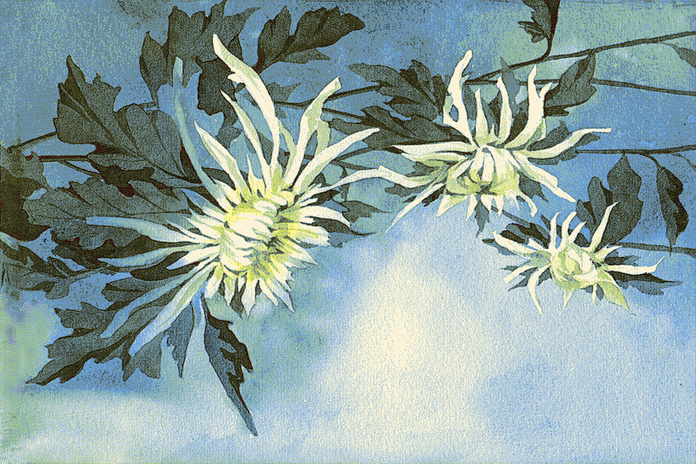 Ковер Hunnu 6A1542 176