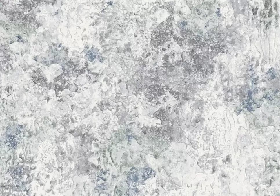 Ковер Argentum 63483 9646