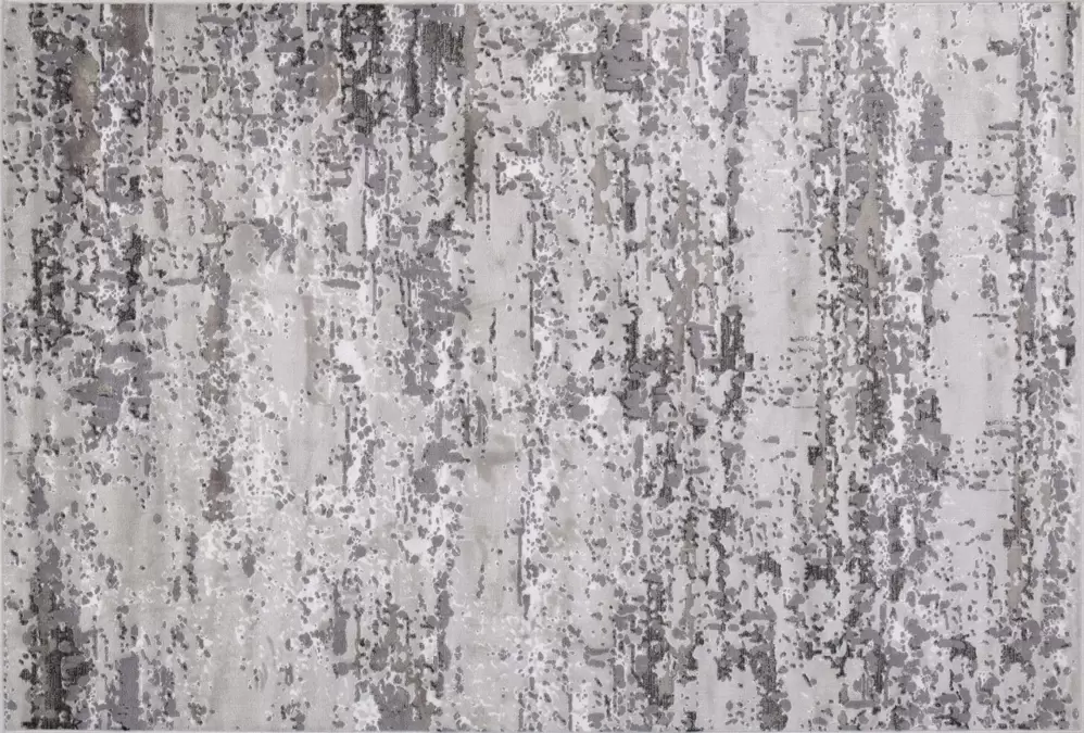 Ковер Euphoria 13103 SILVER-VISON