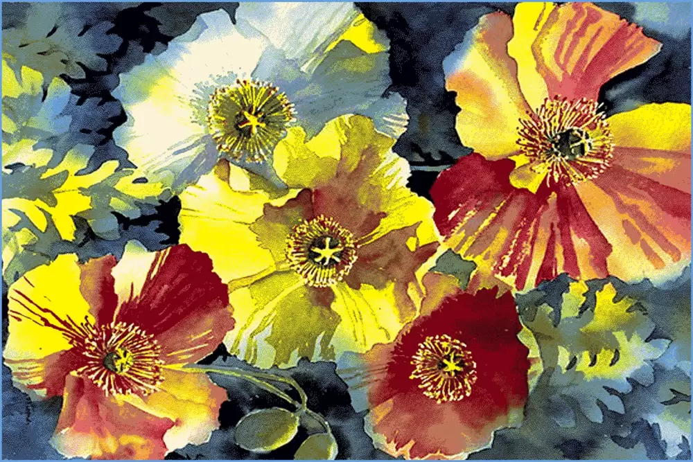 Ковер Hunnu 6A1556 175