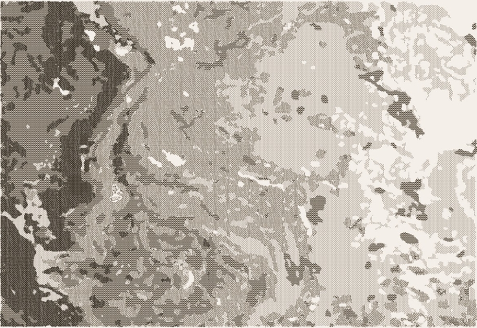 Ковер Веранда 54110 50522